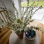 ゲストハウス Coastal View House 4*