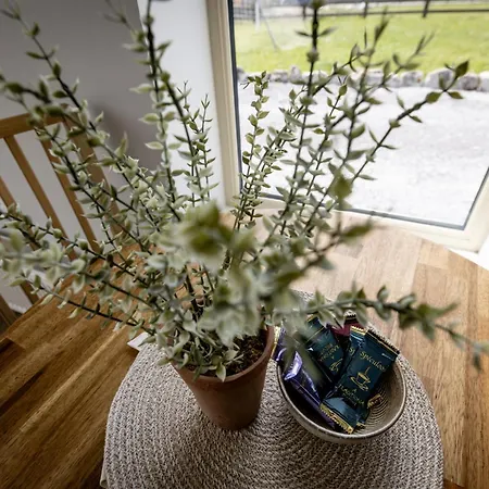 בית הארחה Coastal View House 4*