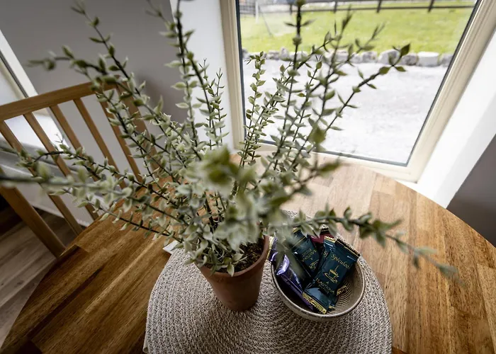 招待所 Coastal View House 4*