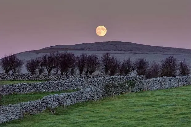 Coastal View House 招待所 4*